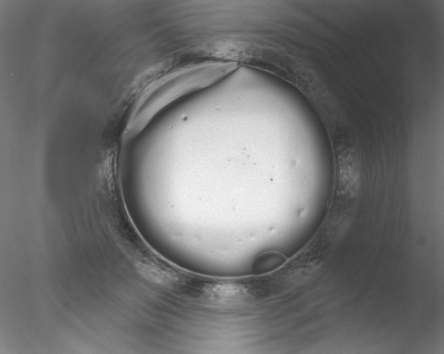 X0000076420503200611031817