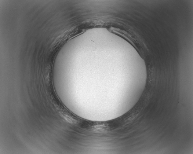 X0000076420505200611031817