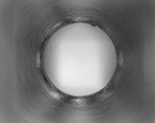 X0000076420506200611031817