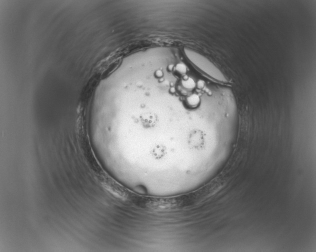 X0000076420511200611031817