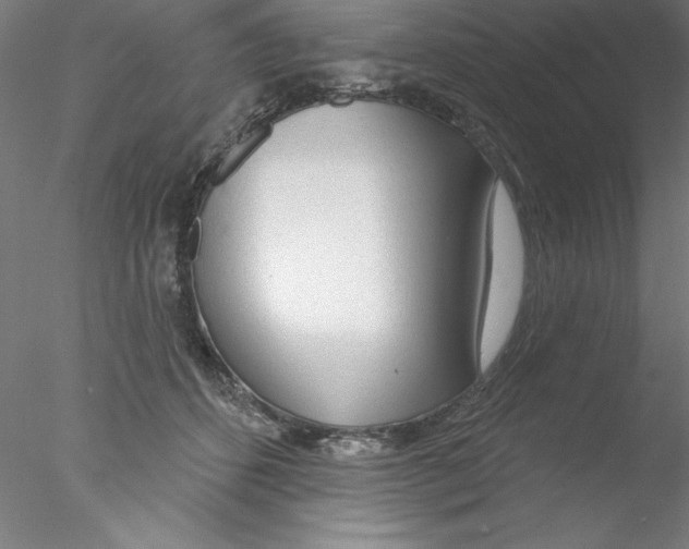 X0000076420512200611031817