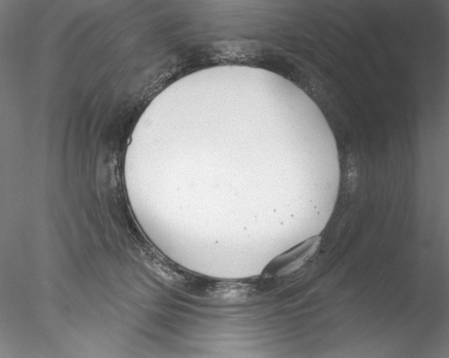 X0000076420514200611031817