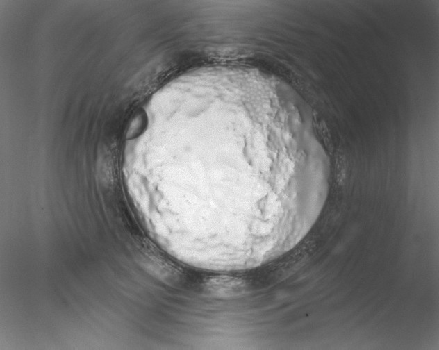 X0000076420515200611031817