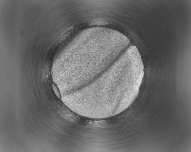 X0000076420517200611031817