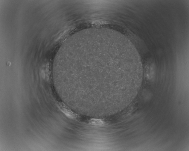 X0000076420519200611031817