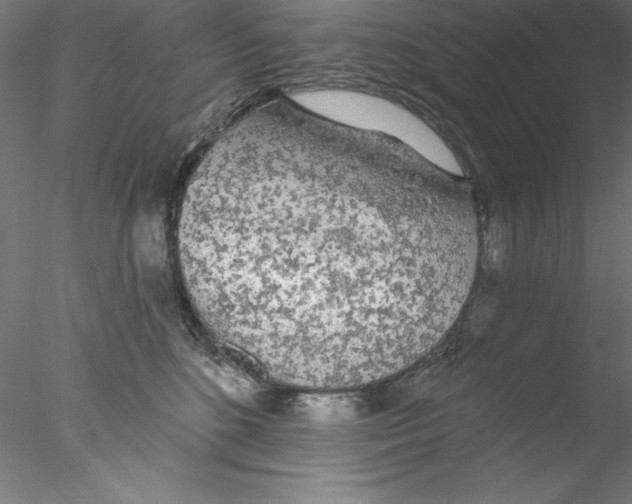 X0000076420520200611031817