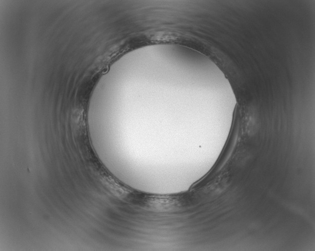 X0000076420521200611031817