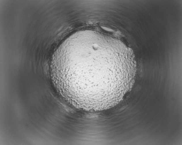 X0000076420523200611031817