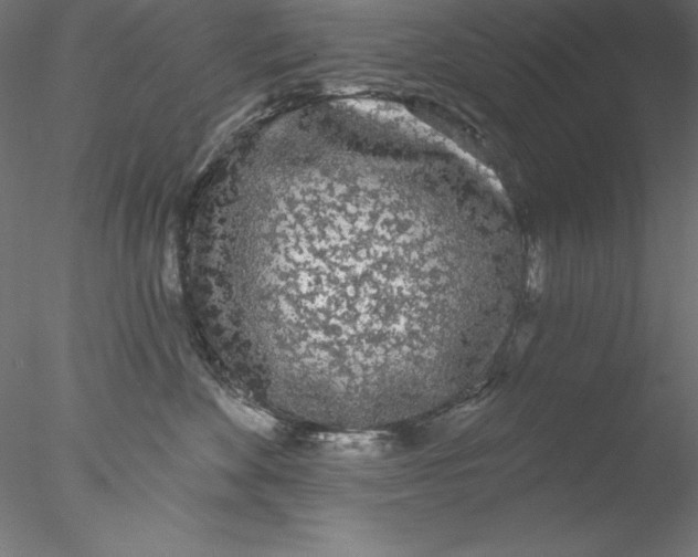 X0000076420524200611031817