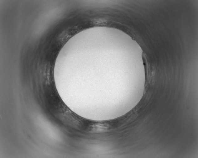 X0000076420525200611031817