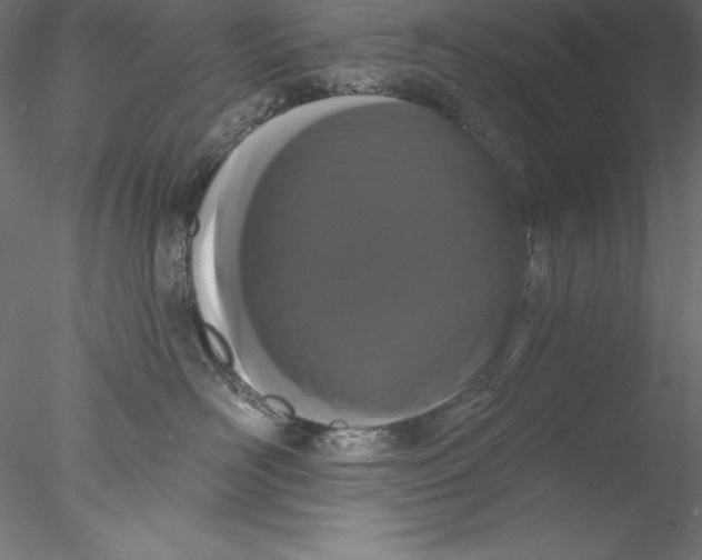 X0000076420526200611031817