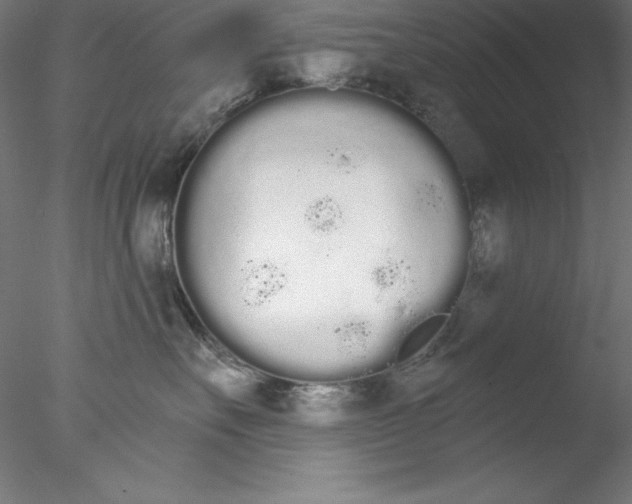 X0000076420527200611031817