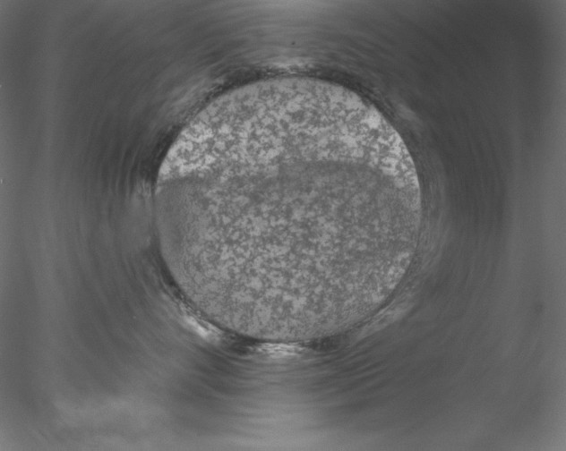 X0000076420528200611031817