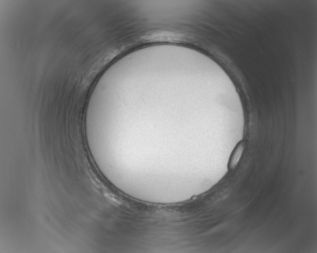 X0000076420529200611031816