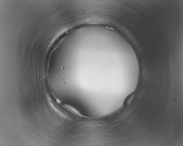 X0000076420530200611031816