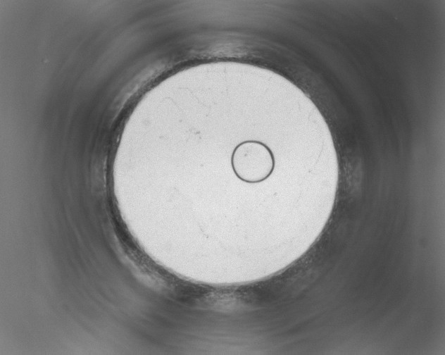 X0000076420534200611031816