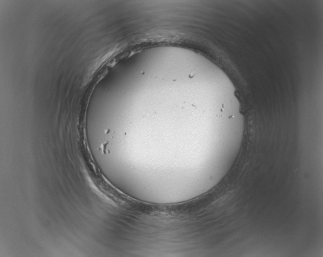 X0000076420538200611031816