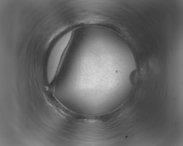 X0000076420539200611031816