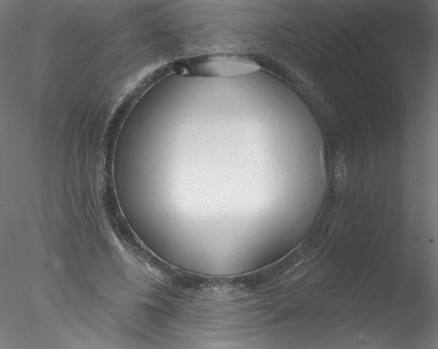 X0000076420540200611031816