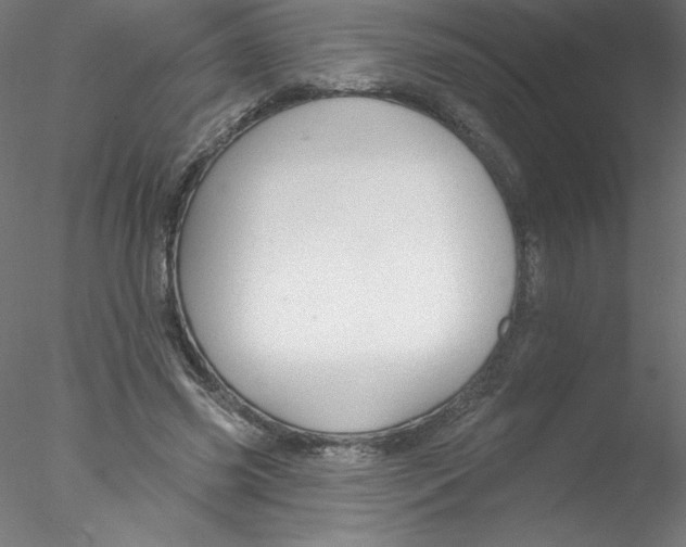 X0000076420541200611031816