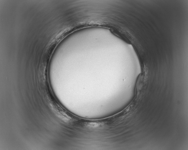 X0000076420542200611031816