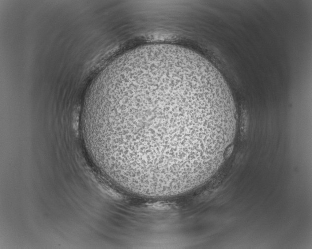 X0000076420545200611031816