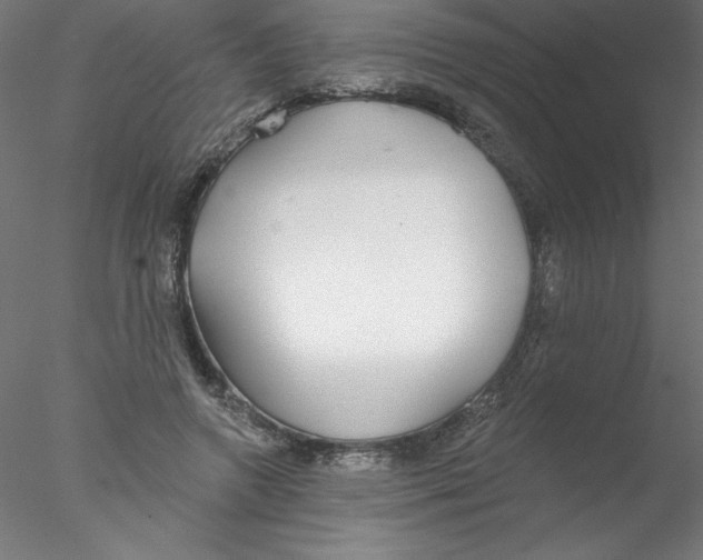 X0000076420546200611031816