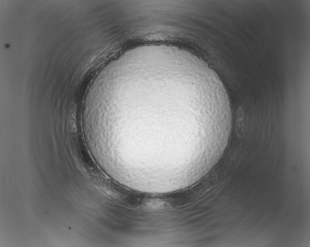 X0000076420547200611031816