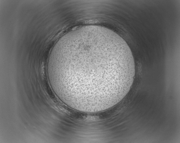 X0000076420549200611031816