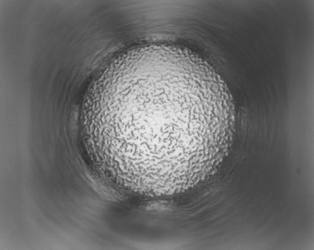 X0000076420550200611031816