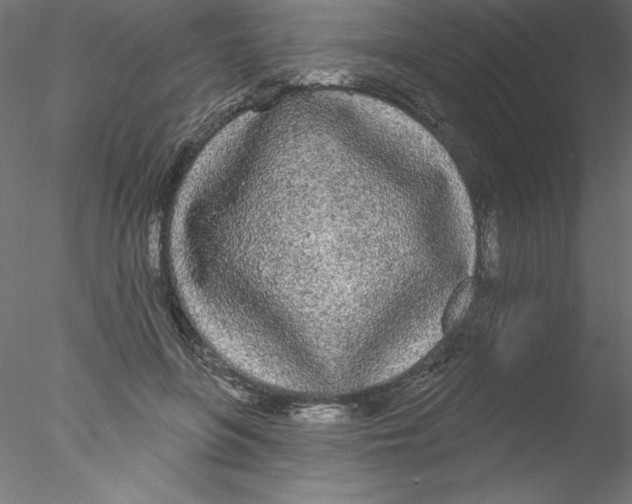 X0000076420551200611031816