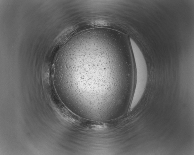 X0000076420552200611031816