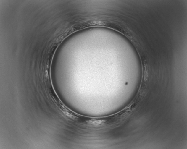 X0000076420553200611031816