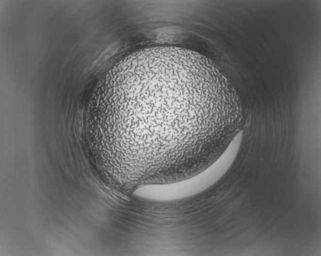 X0000076420554200611031816