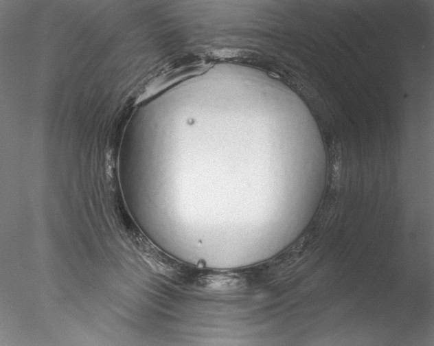 X0000076420555200611031816