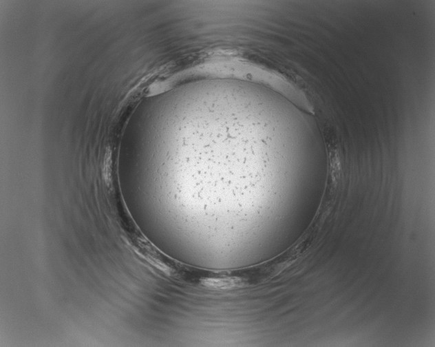 X0000076420556200611031816