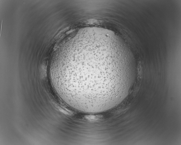 X0000076420558200611031816