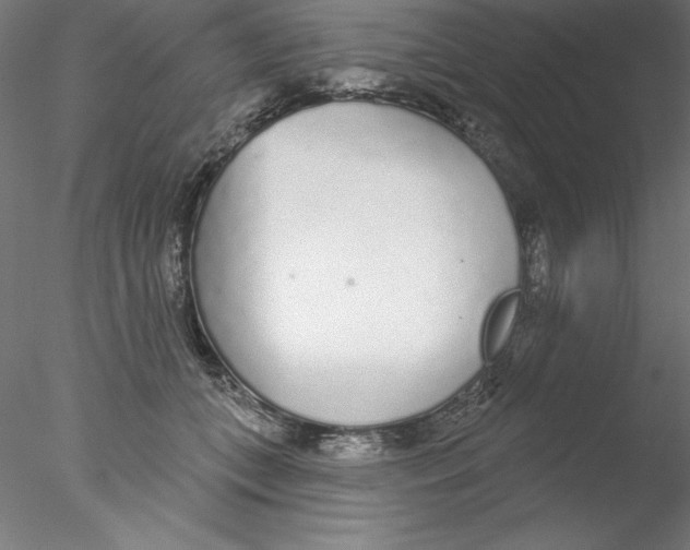 X0000076420559200611031816