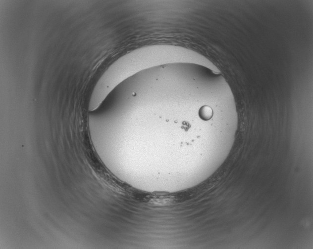 X0000076420560200611031816