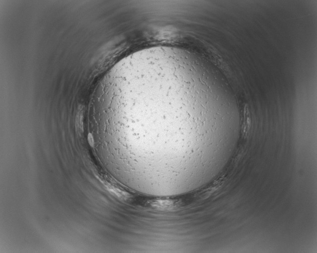 X0000076420562200611031816