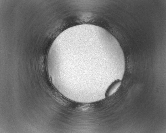 X0000076420563200611031816