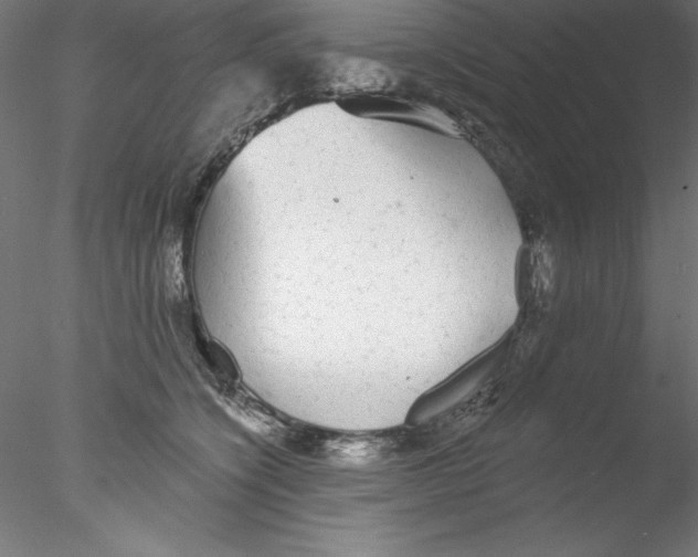 X0000076420564200611031816