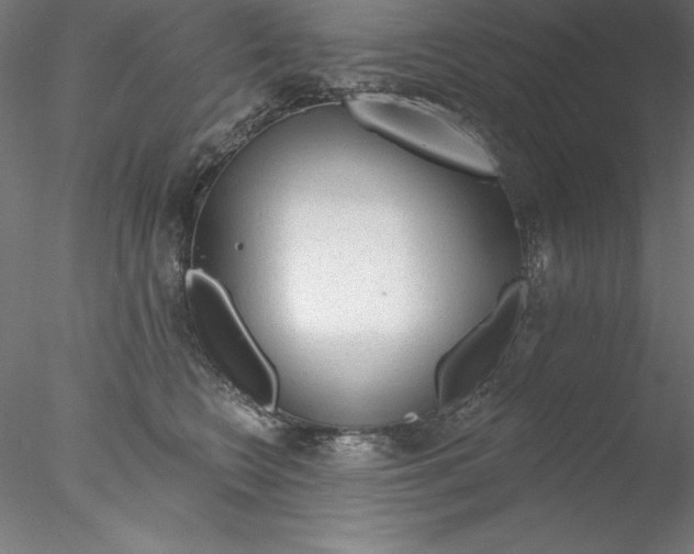 X0000076420566200611031816