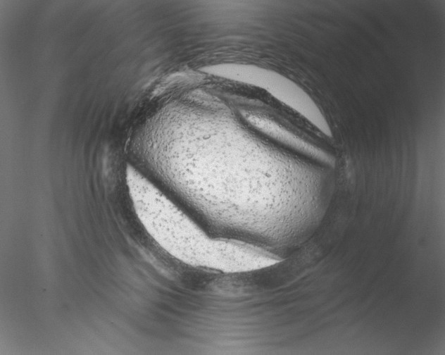 X0000076420568200611031816