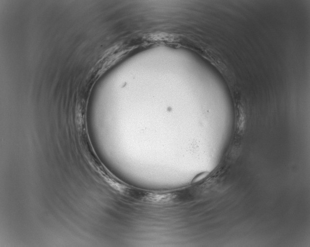 X0000076420569200611031816