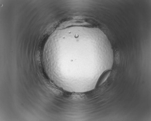 X0000076420571200611031816