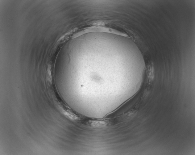 X0000076420572200611031816