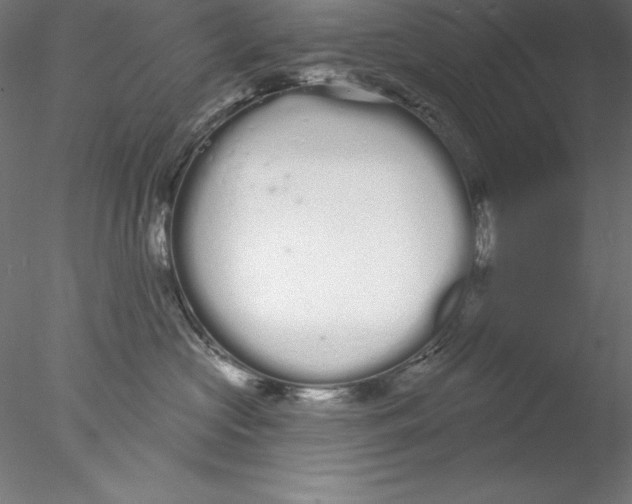 X0000076420573200611031816