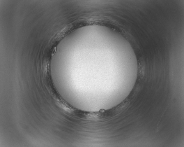 X0000076420574200611031816