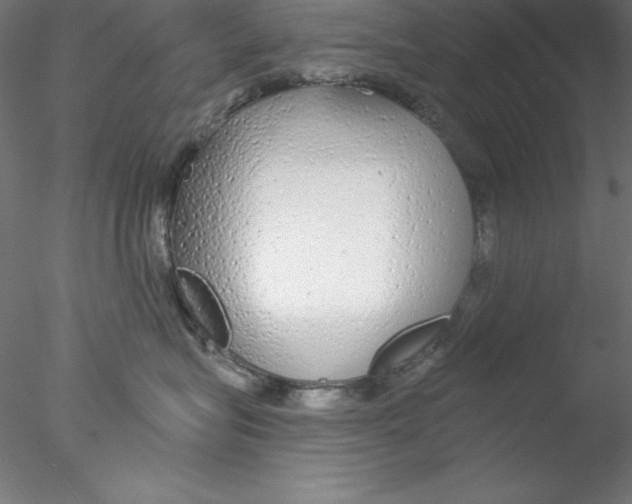 X0000076420575200611031816